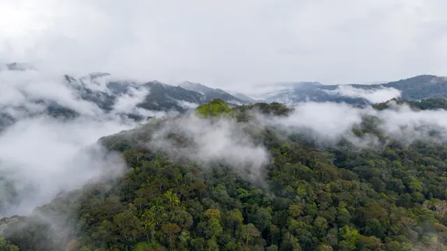 dji_fly_20260615_155438_0021_1781742725727_photo