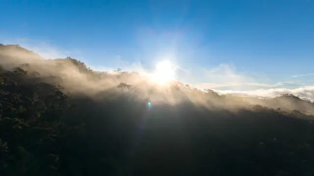 dji_fly_20260618_064358_0057_1781742671965_photo