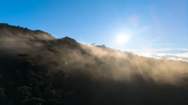 dji_fly_20260618_064412_0058_1781742671322_photo