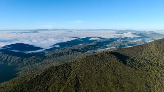 dji_fly_20260618_064730_0064_1781742663957_photo