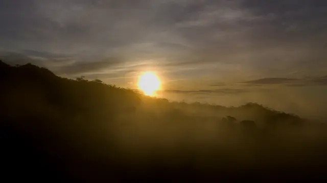 dji_fly_20260619_063154_0082_1781822695449_photo