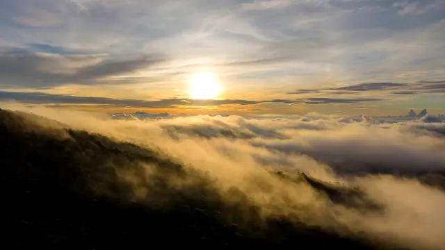dji_fly_20260619_063242_0084_1781822690842_photo