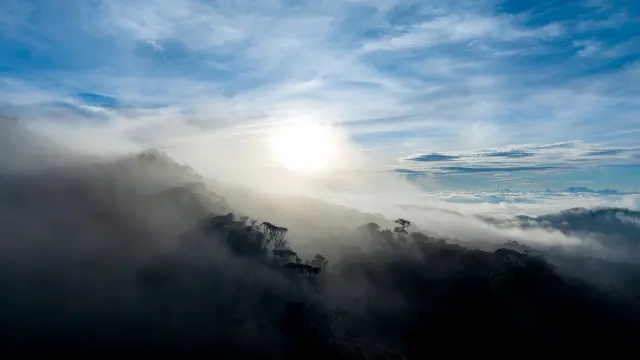 dji_fly_20260619_064116_0097_1781822648308_photo