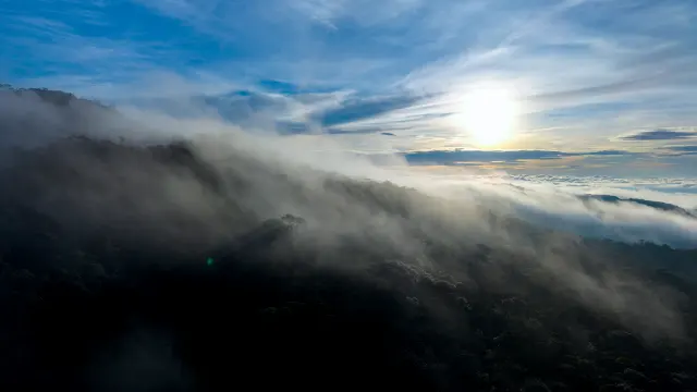 dji_fly_20260619_064144_0099_1781822646982_photo