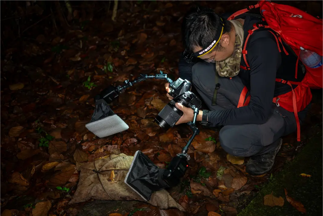Nature education in the rainforest
