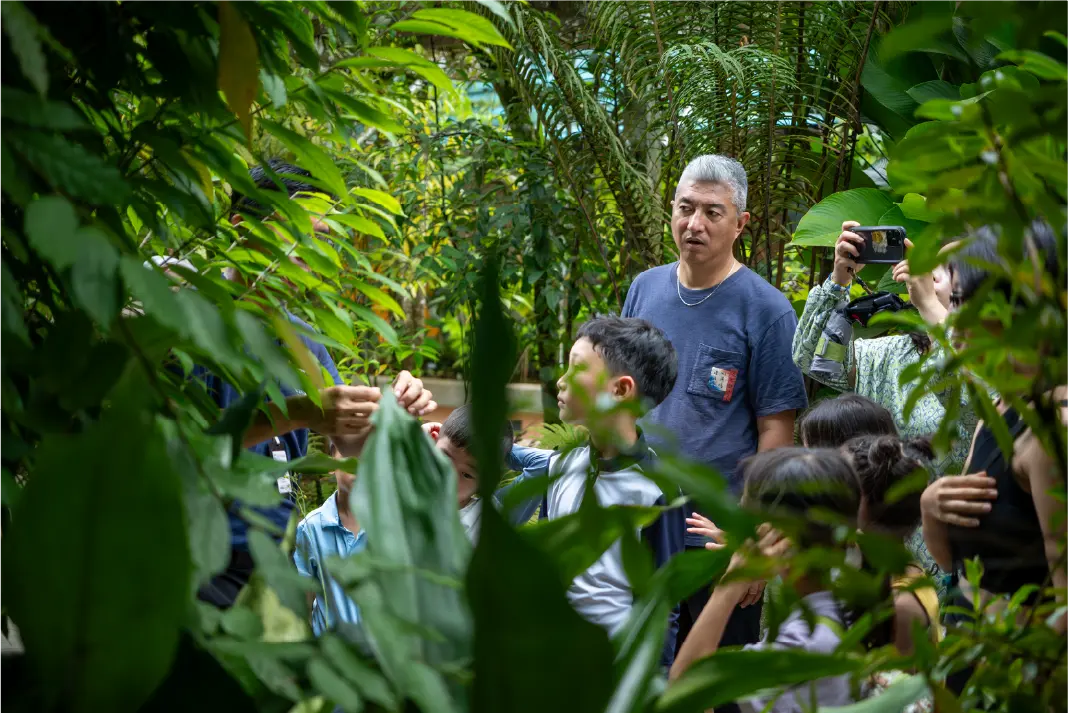 Borneo rainforest adventure