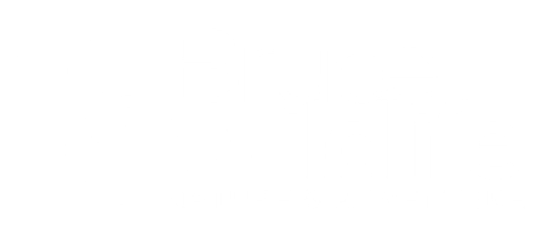 Bruce Wildlife Nature & Adventure